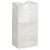20 lb White Paper Bags